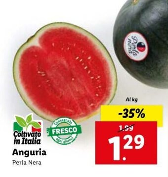 Lidl Anguria offerta