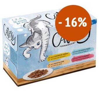 Zooplus Prezzo speciale! 48 x 100 g catessy bocconcini in gelatina offerta