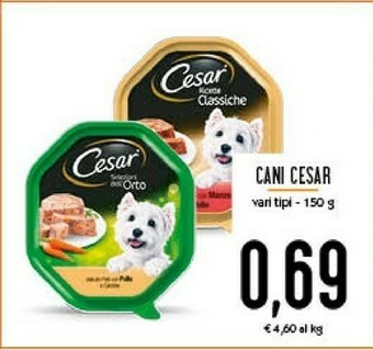 Conad Cesar Cibo per cani offerta