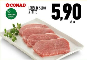Conad Lonza offerta