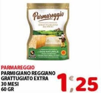 Mio Market Parmareggio Parmigiano Reggiano Grattugiato Extra 30 Mesi 60 gr offerta