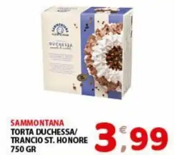 Mio Market Sammontana Torta Duchessa/Trancio St. Honore 750 gr offerta