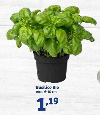 In'S Mercato Basilico Bio offerta