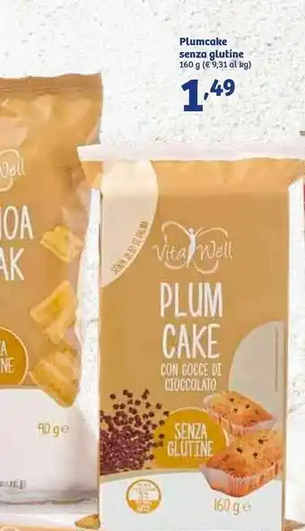 In'S Mercato Vita well Plum Cake Con Gocce Di Cioccolato 160 G(ml) offerta