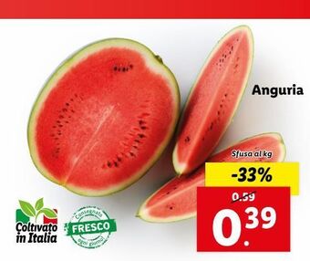 Lidl Anguria al kg offerta