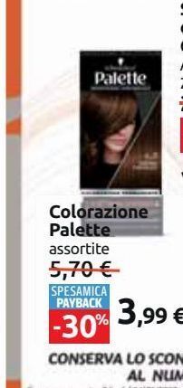Carrefour Market Colorazione palette offerta