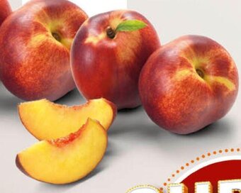 Conad Pesche Nettarine offerta