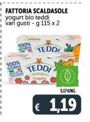 Deco Supermercati Fattoria scaldasole yogurt bio teddi van gusti - g 115 x 2 offerta