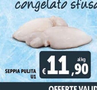 Deco Supermercati Seppia pulita u1 offerta