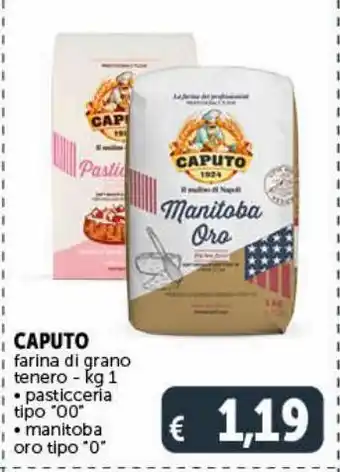 Deco Supermercati Caputo farina di grano tenero - kg1 -pasticceria tipo ''00'' -manitoba oro tipo ‘'0" offerta