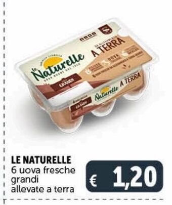 Deco Supermercati Le naturelle 6 uova fresche grandi allevate a terra offerta
