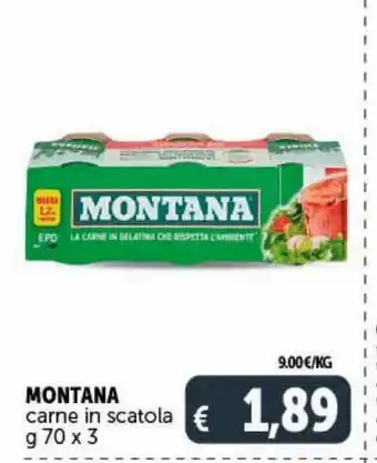 Deco Supermercati Montana carne in scatola g 70x3 offerta