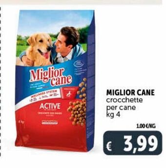 Deco Supermercati Miglior cane crocchette per cane kg 4 offerta