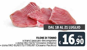 Deco Maxistore Filone di tonno a tranci pescato decongelato offerta