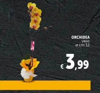 Deco Maxistore Orchidea vaso offerta