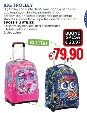 IperFamila Big trolley 2 possibili utilizzi 33 litri offerta