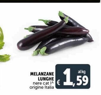 Melanzane lunghe