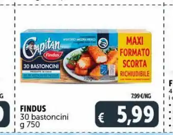 Deco Superstore Findus 30 bastoncini g 750 offerta