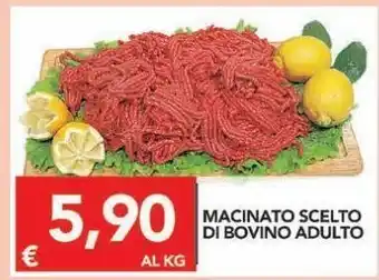 TuoDi Macinato scelto di bovino adulto offerta