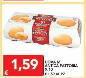 TuoDi Uova m antica fattoria x 10 offerta