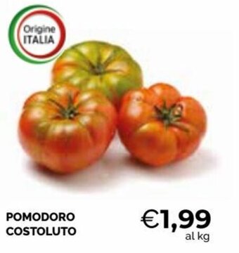 Mercatò Pomodoro Costoluto offerta
