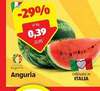 ALDI Anguria offerta