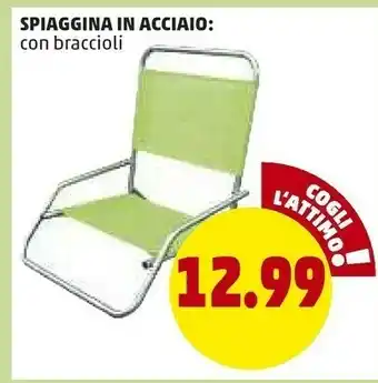PENNY Penny Market Spiaggina In Acciaio offerta
