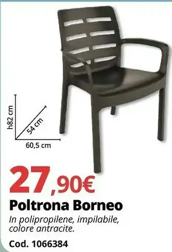 Poltrona Borneo