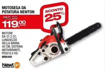 Bricofer Newton Motosega Da Potatura offerta