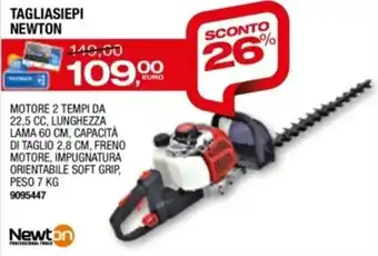 Bricofer Newton Tagliasiepi offerta