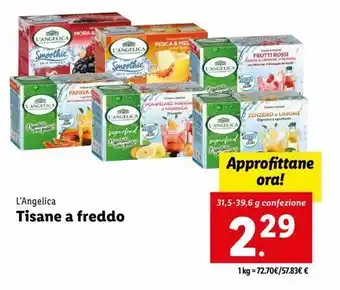 Lidl Tisane a freddo offerta
