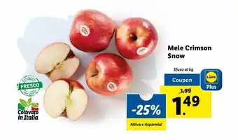 Lidl Mele crimson snow al kg offerta