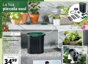 Lidl Sistema di irrigazione per vacanza offerta