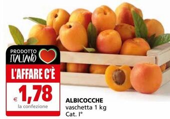 Il Gigante Albicocche offerta