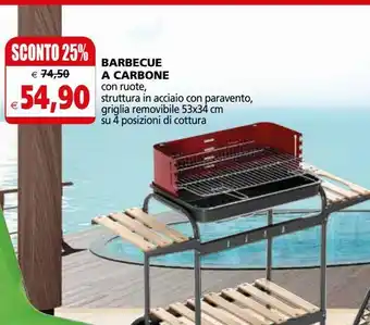 Il Gigante Barbecue a carbone offerta