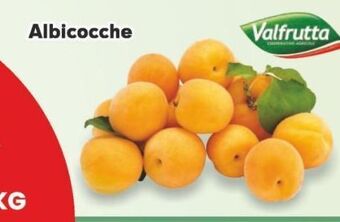 Albicocche