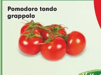 Despar Pomodoro tondo a grappolo offerta
