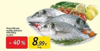 Carrefour Market Orata Allevata Nel Mar Adriatico offerta