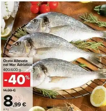 Carrefour Market Carrefour Orata Allevata Nel Mar Adriatico offerta