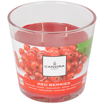 Action Candela profumata Candra offerta