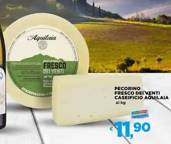 Coop Pecorino fresco dei venti caseificio aquilaia al kg offerta