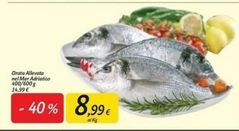 Carrefour Market Orata offerta