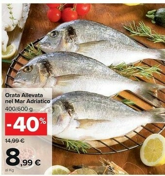 Carrefour Market Orata Allevata Nel Mar Adriatico offerta