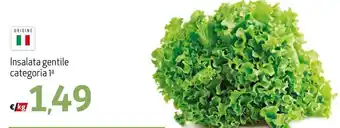 Maxi Supermercati Insalata gentile categoria 1a offerta