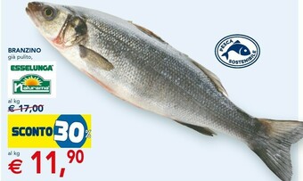 Esselunga Branzino offerta