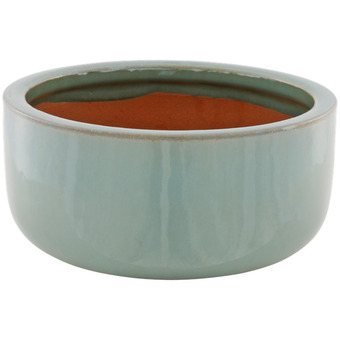 Action Vaso da fiori offerta
