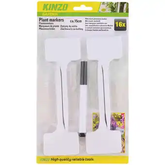 Action Lavagnette piante Kinzo offerta