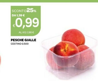 Ekom Pesche offerta