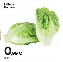 Lattuga