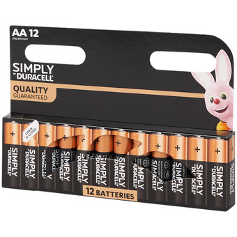 Action Batterie Duracell AA offerta